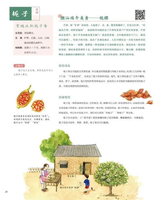 https://img.xiumi.us/xmi/ua/2zOUL/i/9b3d12150303b1bfab03ddc3df49a118-sz_62561.jpg