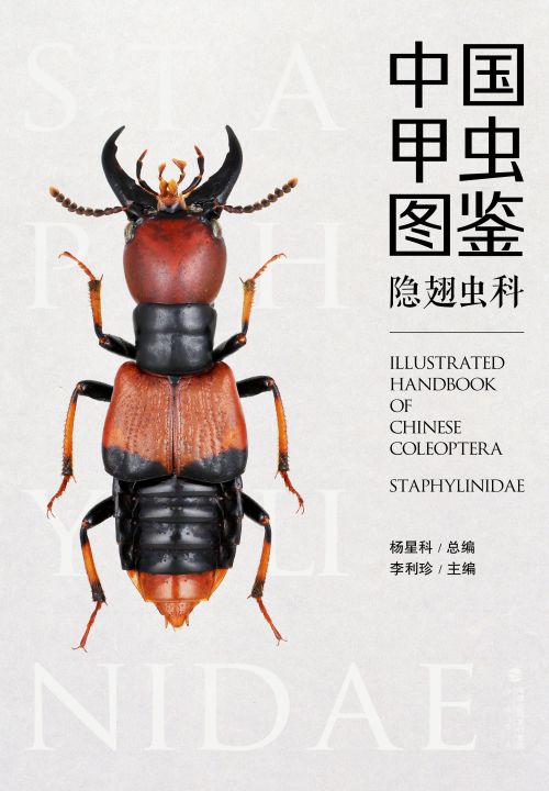 中国甲虫图鉴（隐翅虫科）