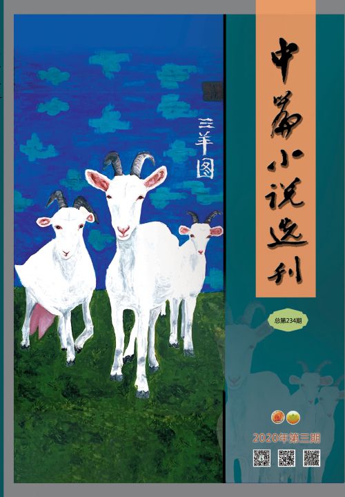 中篇小说选刊2020年4月